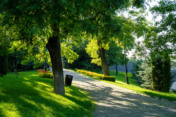 A paved path in a city park among green trees and lawn. Sunlit park landscape