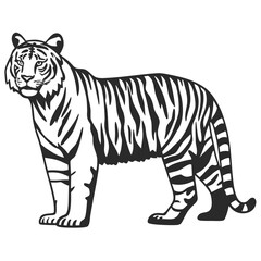 Obraz premium Vector Illustration Of Back and white Tiger Silhouette – Isolated on White Background