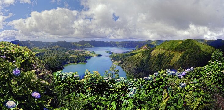 Picturesque panoramic view of the crater lakes Lagoa Verde and Lagoa Azul surrounded by green crater rims and flowering hydrangea under a clear sky, crater circular hiking trail, Caldeira das Sete Cidades, Miradouro da Vista do Rei, Lagoa Verde, Lagoa Azul, Sao Miguel, Portugal