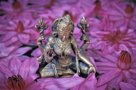 Goddess Lakshmi, Hindu goddess of fortune and beauty, lotus flowers, Thrissur, Kerala, South India, Asia