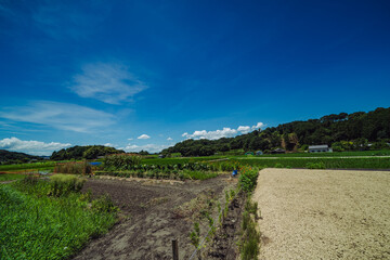 奈良の飛鳥寺の風景