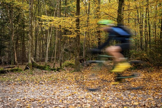 Cyclist in the autumnal forest, puller, Perlacher Forst, Munich, Upper Bavaria, Bavaria, Germany