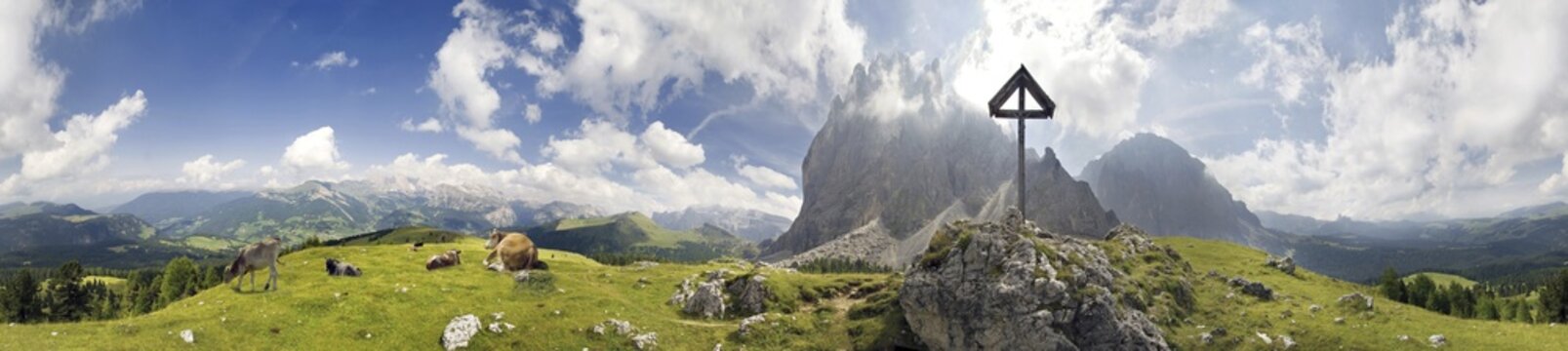 Panoramic view of happy cows at the Piz Ciaulong peak on the Langkofel massif, Val Gardena, province of Bolzano-Bozen, Italy, Europe