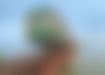 Abstract grainy gradient texture in shades of blue, green, and brown creates a soft, blurred...