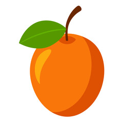 orange fruit isolated on white background