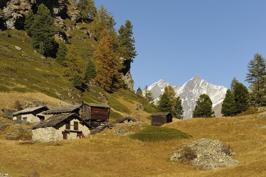 Mountain village of Blatten, old houses and a barn at the front, Zermatt, Valais, Switzerland, Europe