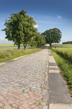 Country road with cobblestones, near Teterow, Mecklenburg-Western Pomerania, Germany