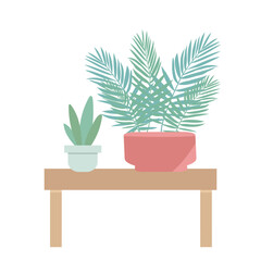 Fototapeta premium House plants on table in modern interior with furniture and natural light