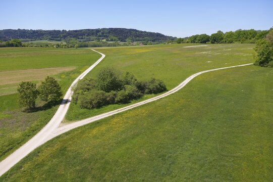 Fork in meadow with bushes, symbolic picture of a crossroads, divorce, separation, going separate ways, near Hausheim, Berg bei Neumarkt, Upper Palatinate, Franconia, Bavaria Germany