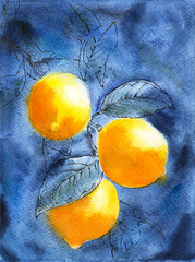 Watercolor illustration of three yellow lemons with leaves on a blue background