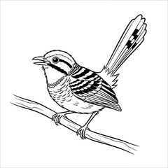 Fototapeta premium Perched Bird Illustration: A detailed monochrome illustration of a small bird perches gracefully on a slender branch. This striking image captures the delicate features of the bird.