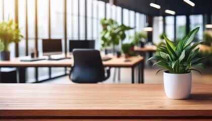 Fototapeta premium blurred modern office focus on wooden table potted plant room work
