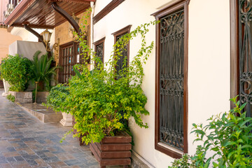 Row of potted plants are lined up along a sidewalk