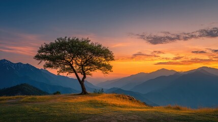 Obraz premium A solitary tree stands atop a hill, silhouetted against a vibrant sunset over distant mountains. The sky transitions from orange to purple, creating a tranquil atmosphere at dusk