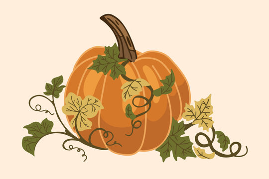 Detailed autumn pumpkin illustration with curling green and yellow leaves, perfect for seasonal decor, kitchen prints, vintage harvest designs, and botanical artwork for fall projects