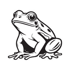 frog isolated on white