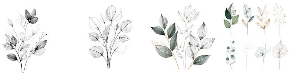 Watercolor Foliage Collection: Delicate Floral Illustrations