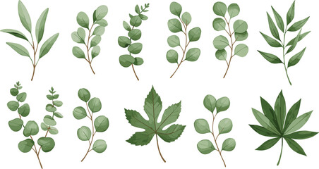 Watercolor green leaves illustration, botanical art, nature decor, foliage design, eucalyptus branches, tropical plants, hand-painted greenery