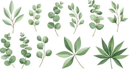 Watercolor green leaves illustration, botanical art, nature decor, foliage design, eucalyptus branches, tropical plants, hand-painted greenery
