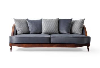 Modern sofa isolated on white background . front view