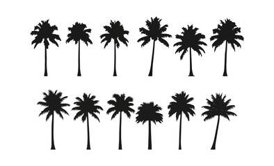 Fototapeta premium Palm Tree Collection – Exotic Silhouette Icons 
