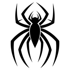 spider isolated on white background