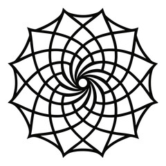 Obraz premium black and white spider web