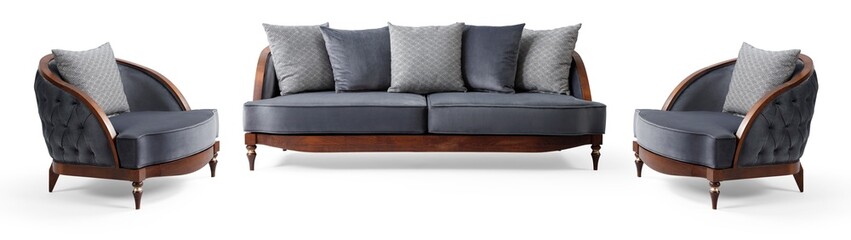 Modern sofa isolated on white background . front view