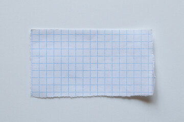 A single sheet of paper, a torn rectangular sheet of white paper in a blue grid that lies on a...