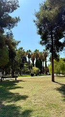 path in the park