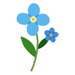 blue flower isolated on white