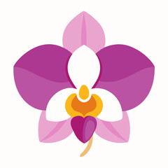 purple orchid flower