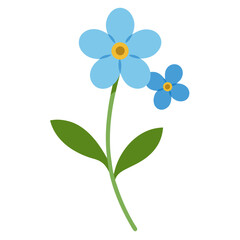 blue flower isolated on white background