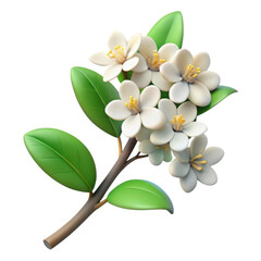 Naklejka premium 3d white jasmine flower branch isolated on transparent background