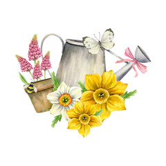 Spring flower arrangement with garden watering can, flower pot, bright daffodils, pink muscari, butterfly and bumblebee. Watercolor illustration for postcards, posters, packaging.
