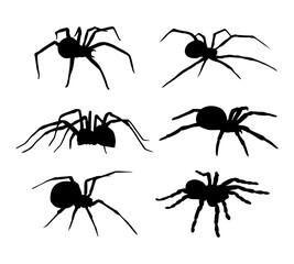 spider silhouettes different poses collection