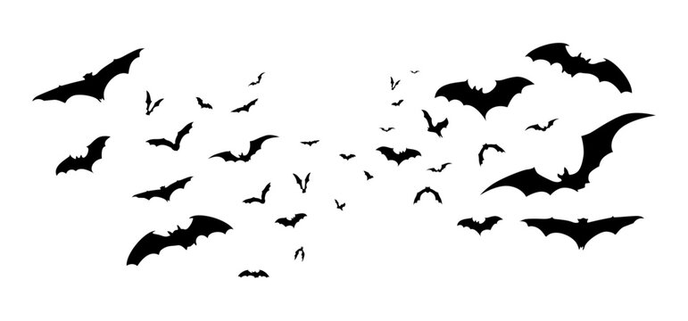 swarm of flying bat silhouettes
