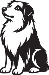Australian Shepherd dog sitting black and white, Black and white herding dog silhouette