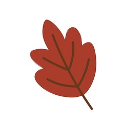 autumn leaf, nature, fall, forest