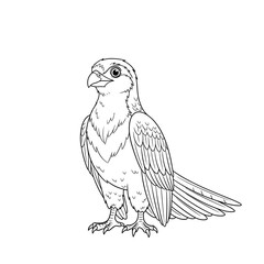 Fototapeta premium Sharp-eyed Observer: This image features an illustration of a majestic bird of prey, characterized by its keen eyes and sharp features, showcasing the beauty of the wildlife.