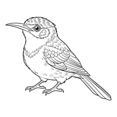 Fototapeta premium Bird Outline: A detailed line art illustration of a perched bird, perfect for coloring or design applications. The artwork beautifully depicts the bird's features.