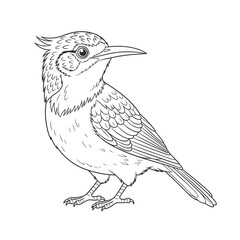 Fototapeta premium Artistic Avian Contour: An intricate, ink-based drawing portrays the elegance of a bird. Showcasing its unique characteristics and natural grace.