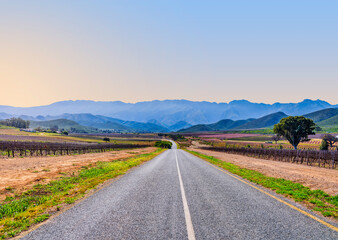 Naklejka premium Rural winding road leading to the Langeberg Mountains, Robertson, South Africa