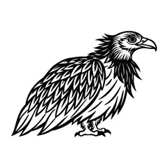 Silhouette of bearded vulture isolated on a white background