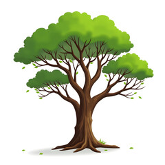 Tree Vector