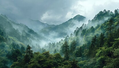 Misty mountain range with lush forests