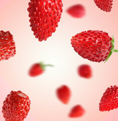 Fresh ripe wild strawberries in air against pink gradient background