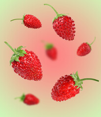 Fresh ripe wild strawberries in air against color gradient background