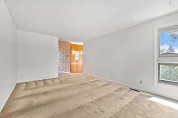 Large, empty room with a white wall and a tan carpet
