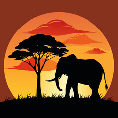 Fototapeta premium elephant on sunset